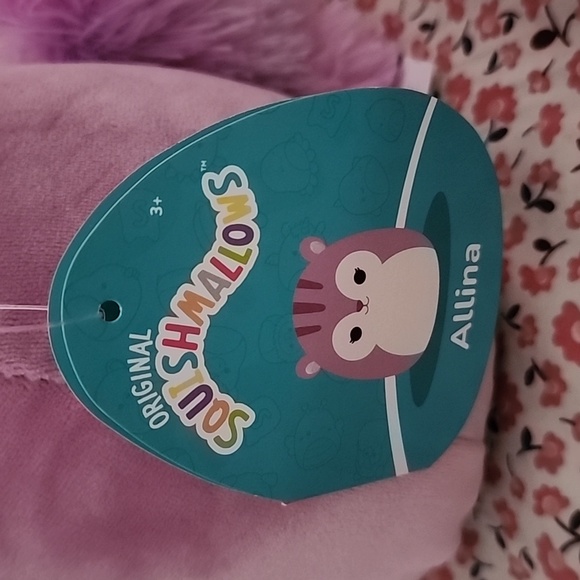 Brand new Squishmallows Allina the Chipmunk Plush Pillow - Picture 4 of 10